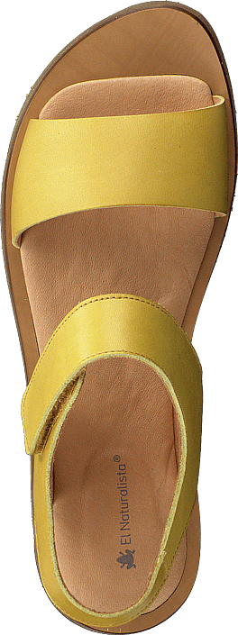 El Naturalista - Tulip Ibón Mustard