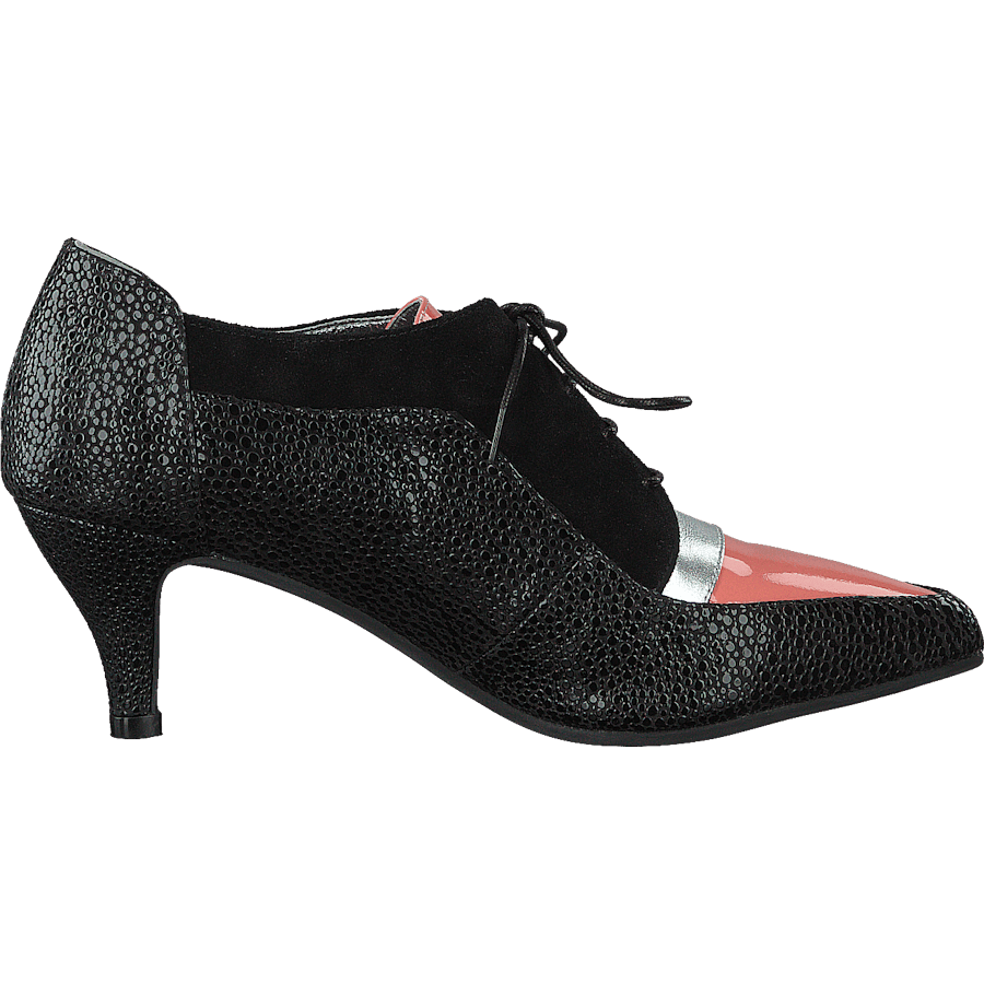 Kitten Black - Bild 2