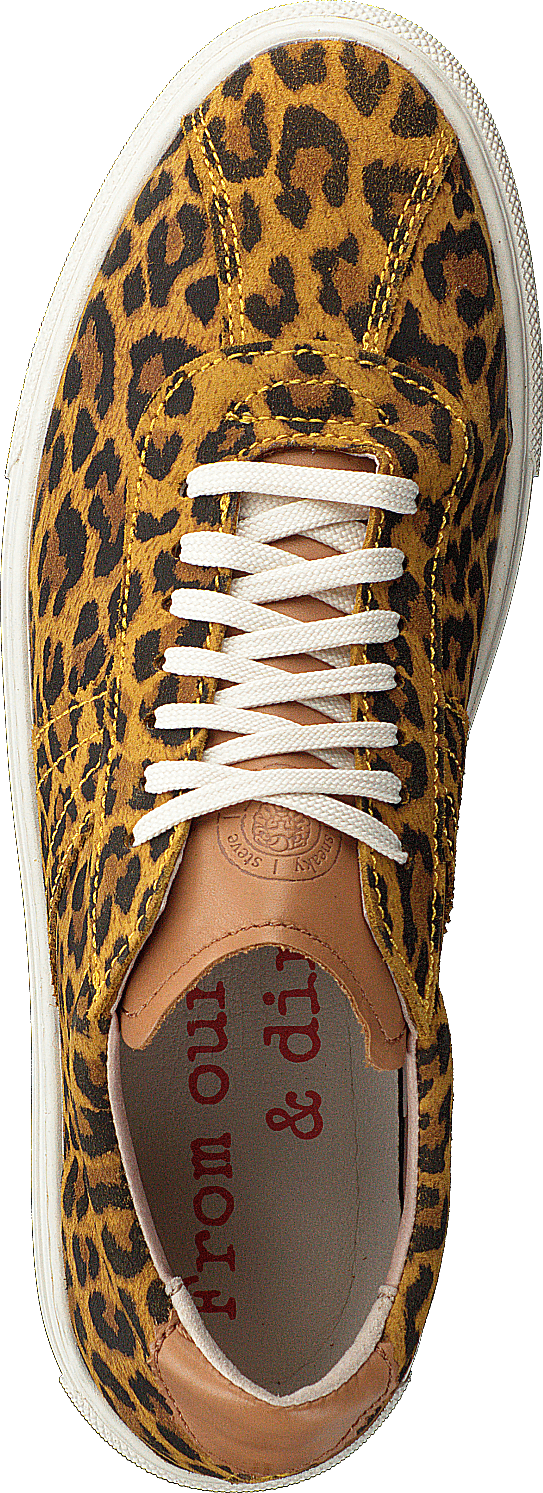 Sammy Yellow Leopard - Bild 6