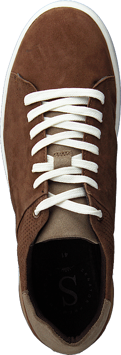 Senator - 451-6208 Dark Brown