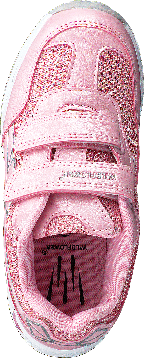 Elvira Pink - Bild 6