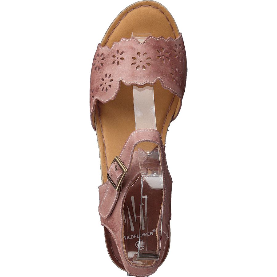 Luciana Pink - Bild 6