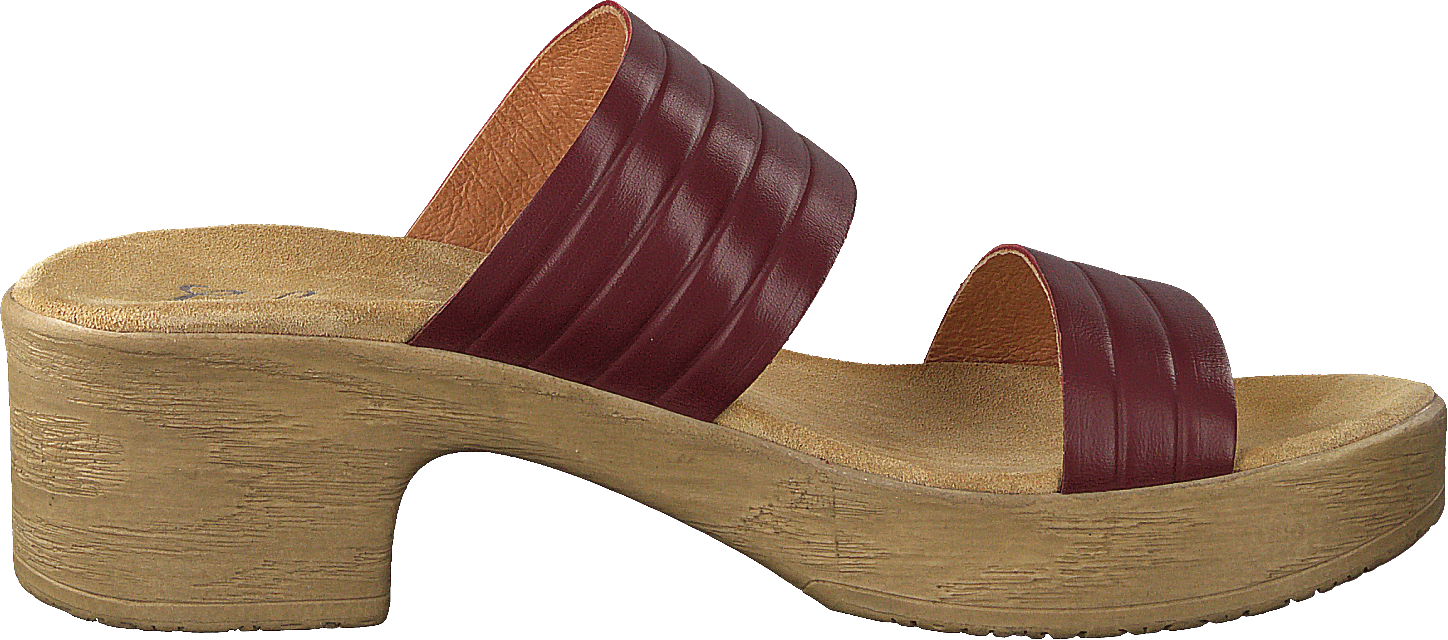 Randi Winered - Bild 2