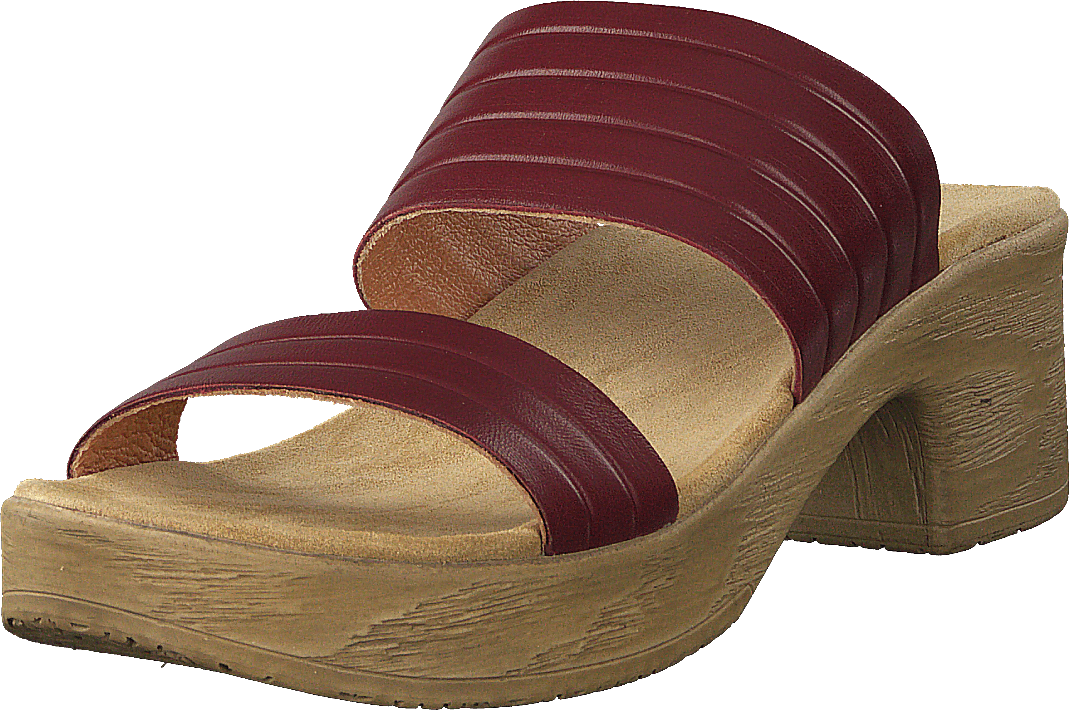 Randi Winered - Bild 3