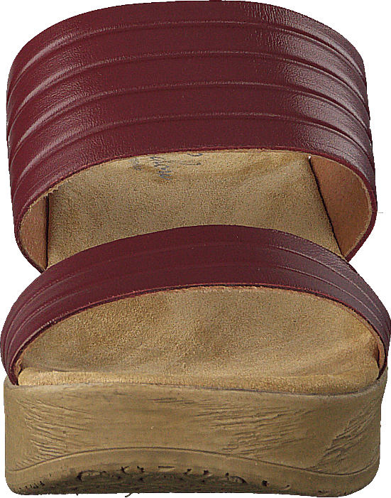Randi Winered - Bild 4