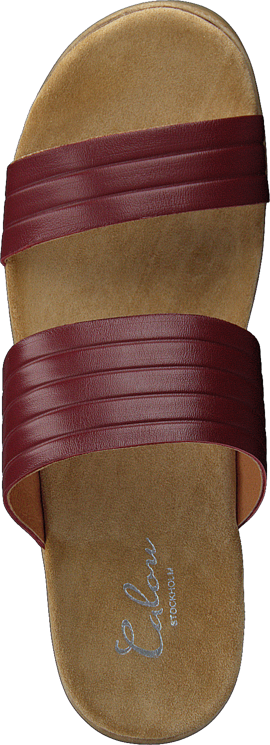 Randi Winered - Bild 6