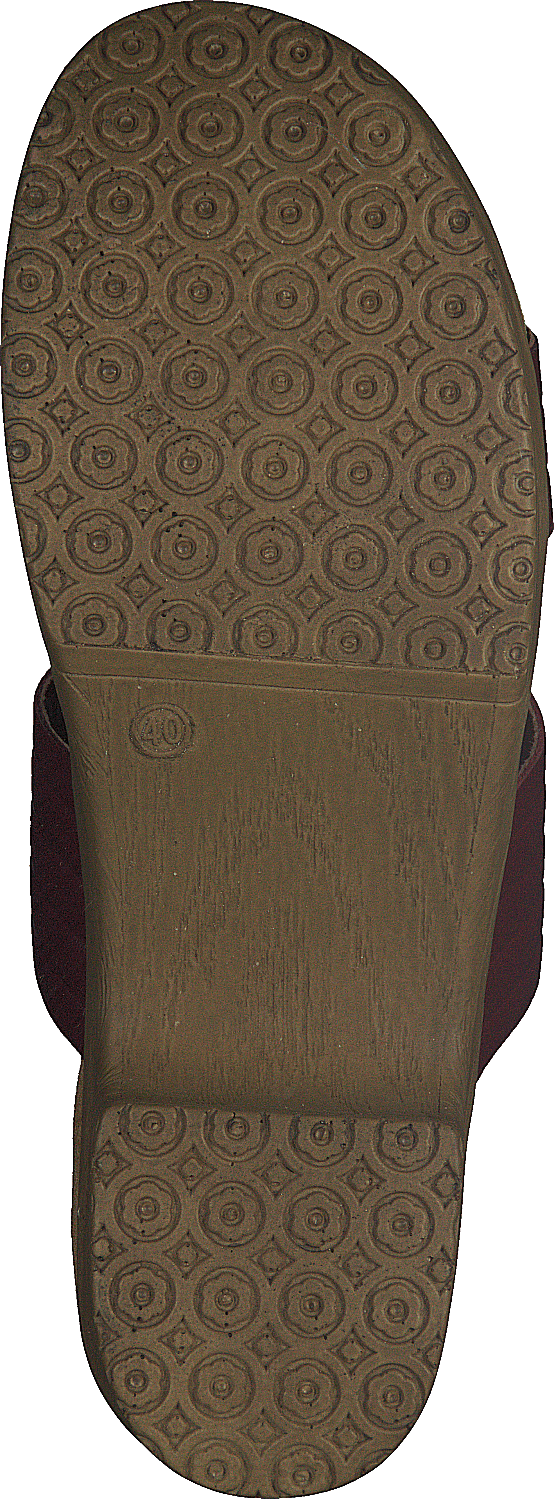 Randi Winered - Bild 7