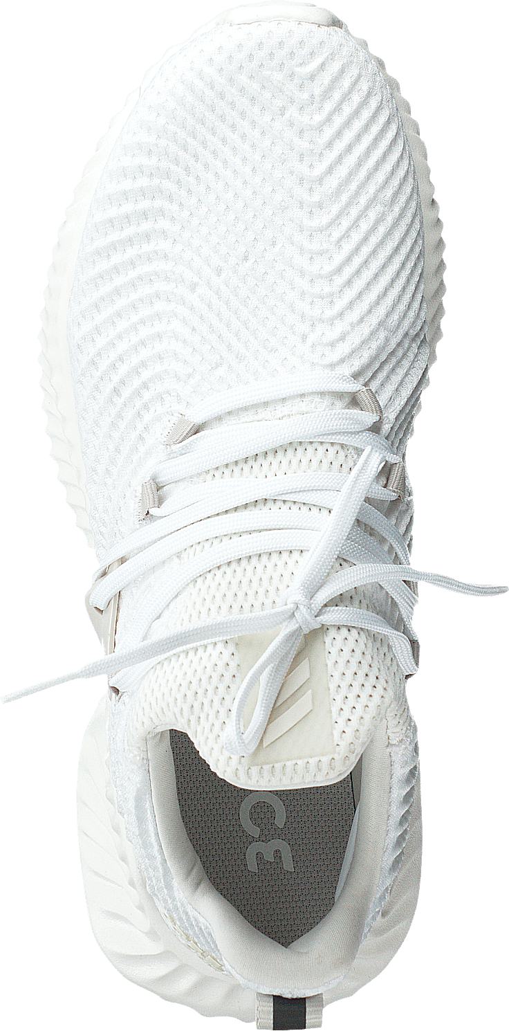 Alphabounce Instinct M Owhite/rawwht/clowhi