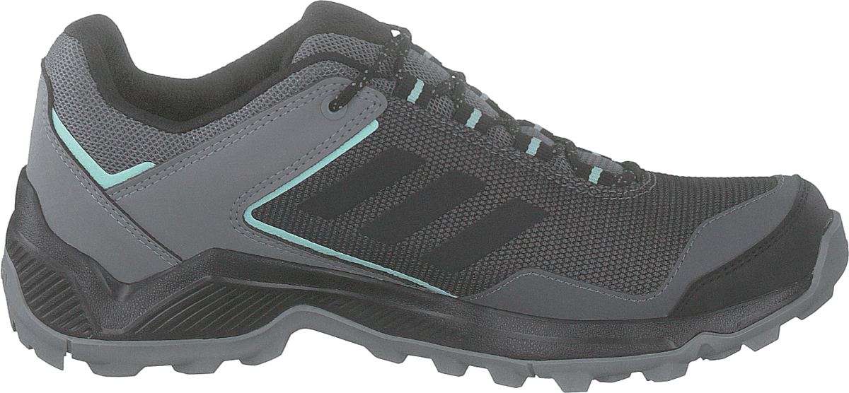 Terrex Entry Hiker Gtx W Grefou/cblack/clemin