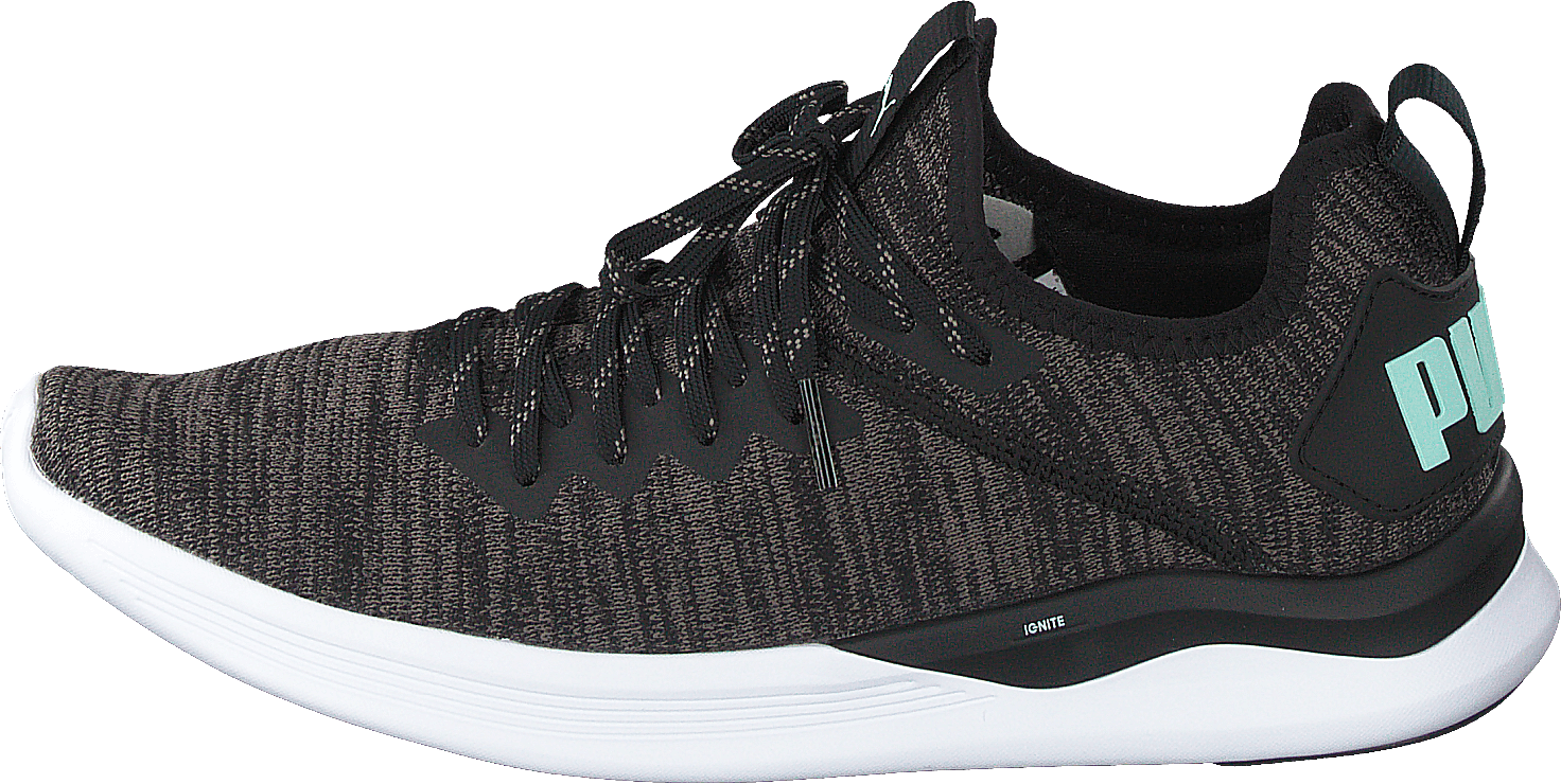 Ignite Flash Evoknit Sr Wn’s Puma Black-charcoal Gray-aqua