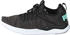 Puma - Ignite Flash Evoknit Sr Wn's Puma Black-charcoal Gray-aqua