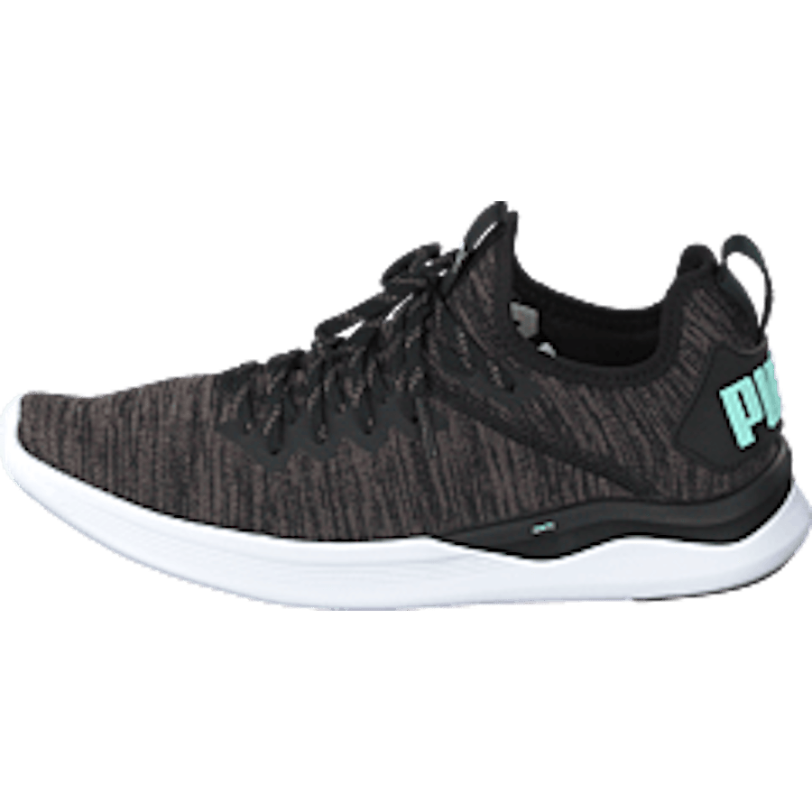 Ignite Flash Evoknit Sr Wn's Puma Black-charcoal Gray-aqua - Bild 10