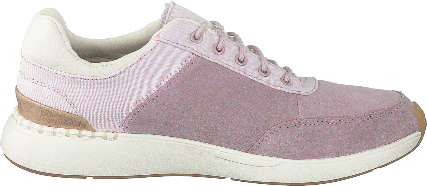 Burnished Lilac Lilac - Bild 2