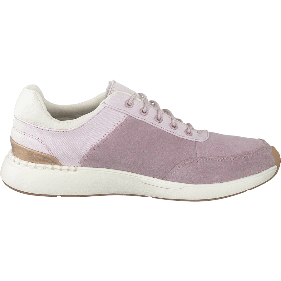 Burnished Lilac Lilac - Bild 2