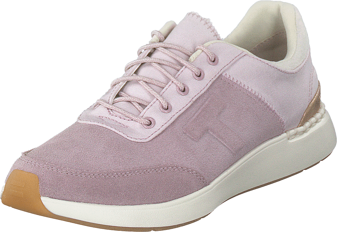 Burnished Lilac Lilac - Bild 3