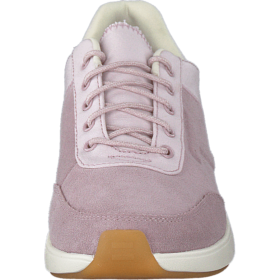 Burnished Lilac Lilac - Bild 4