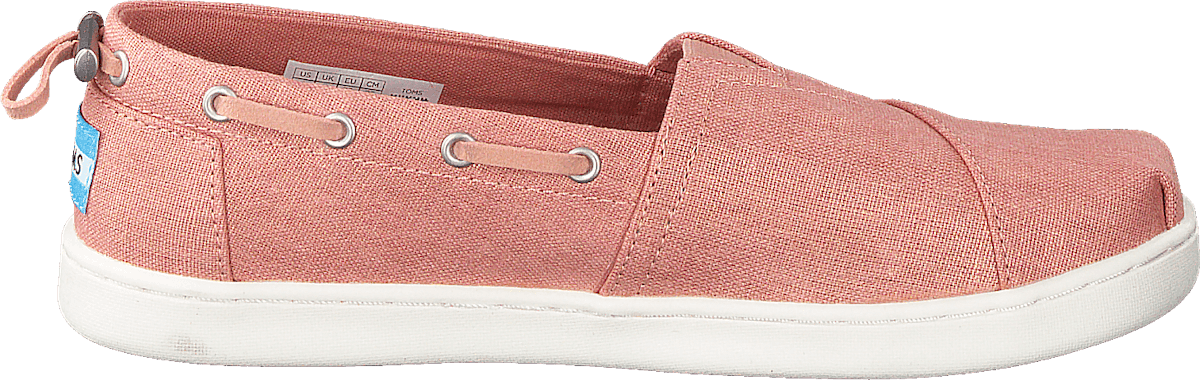 Coral Pink Shimmer Canvas Coral