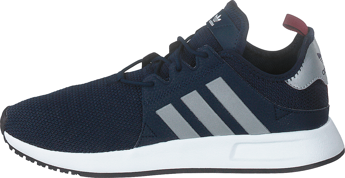 X_plr Conavy/silvmt/cburgu