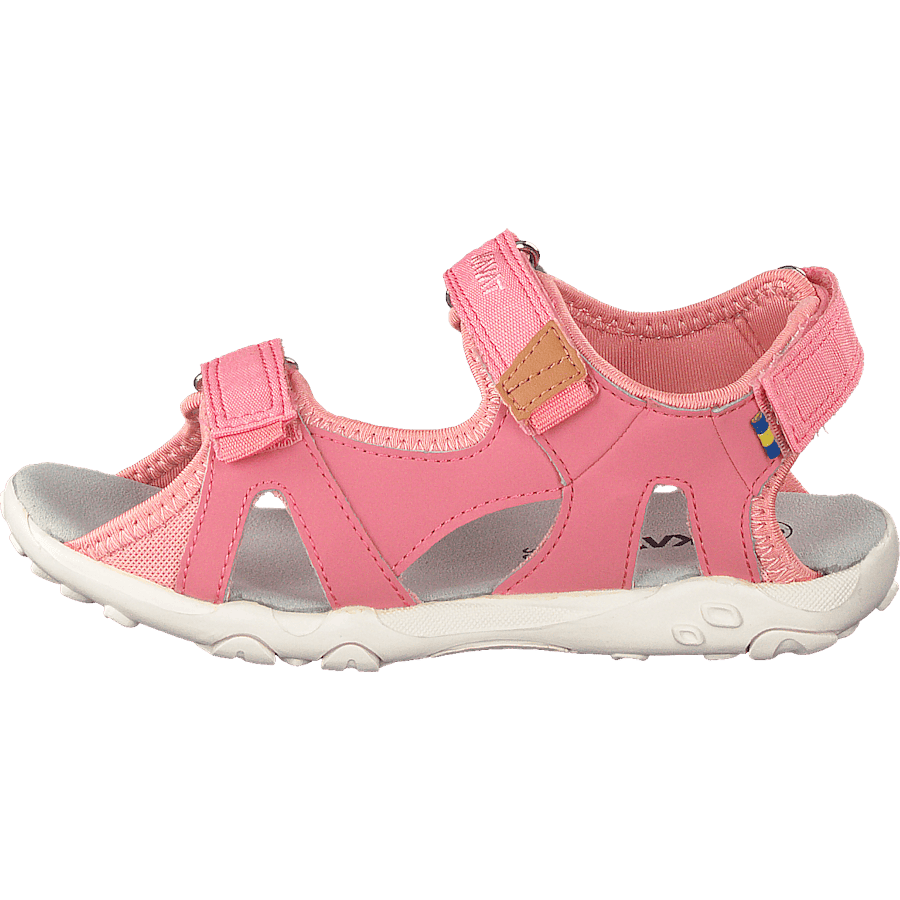 Rio Tx Strawberry Rose