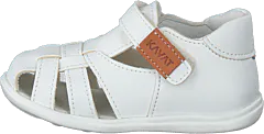 Kavat - Rullsand Xc White