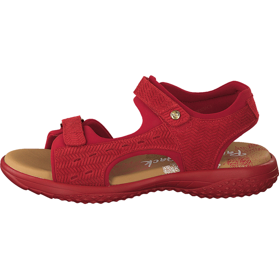 Nilo Menorca Velour Rojo/red