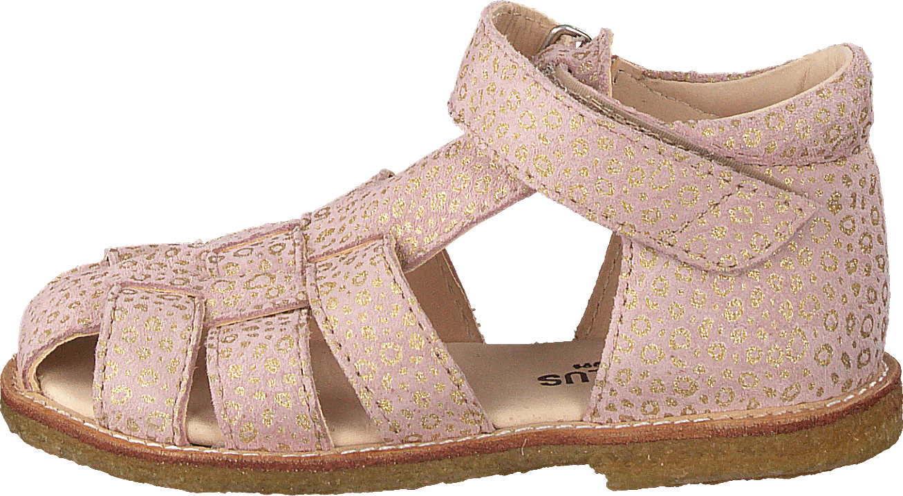 Fisherman Sandal With Velcro Powder Leopard