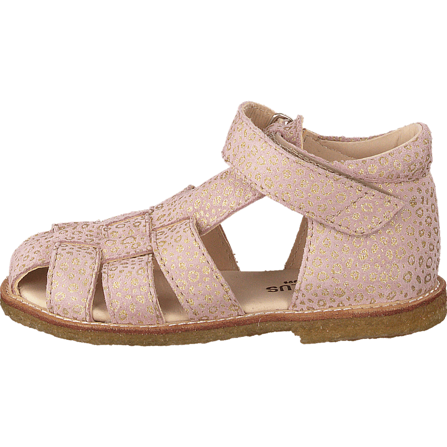 Fisherman Sandal With Velcro Powder Leopard