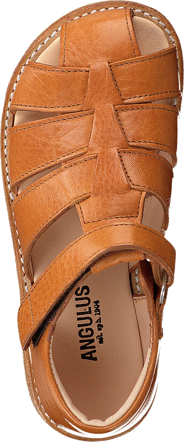 Fisherman Sandal With Velcro Cognac