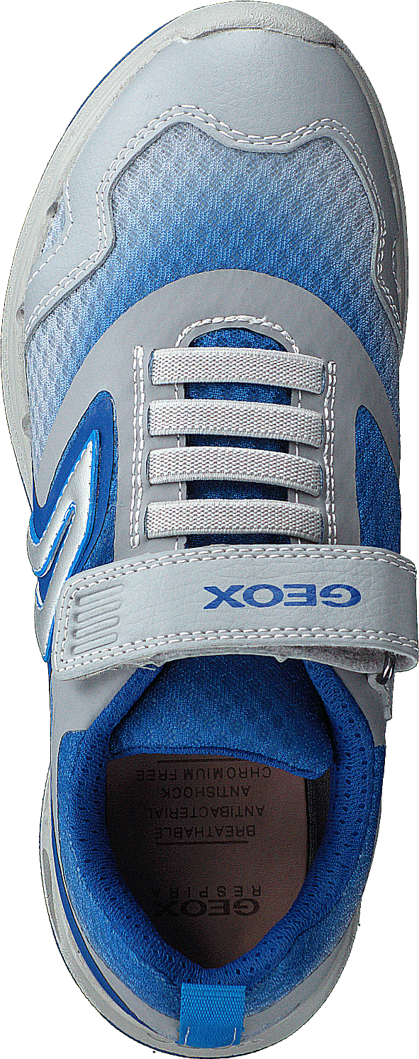 J Dakin Boy Grey/royal - Bild 6