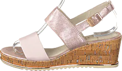 Jana - 28342-22-521 Rose