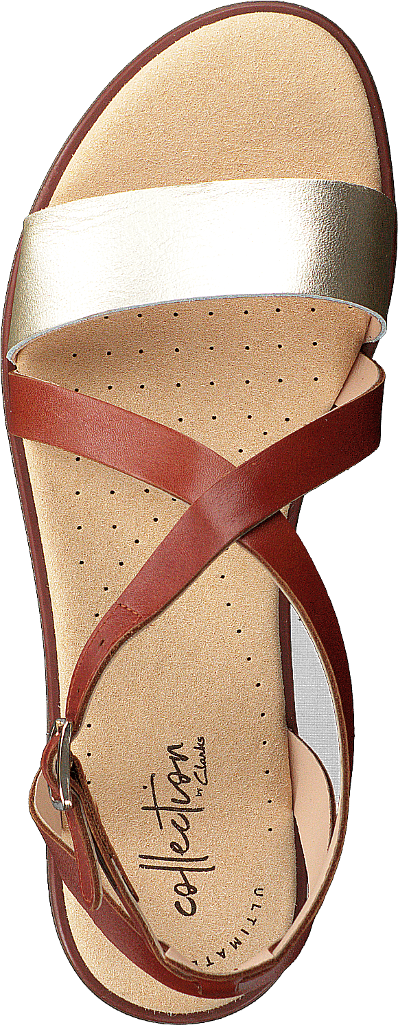 Bay Rose Rust - Bild 6