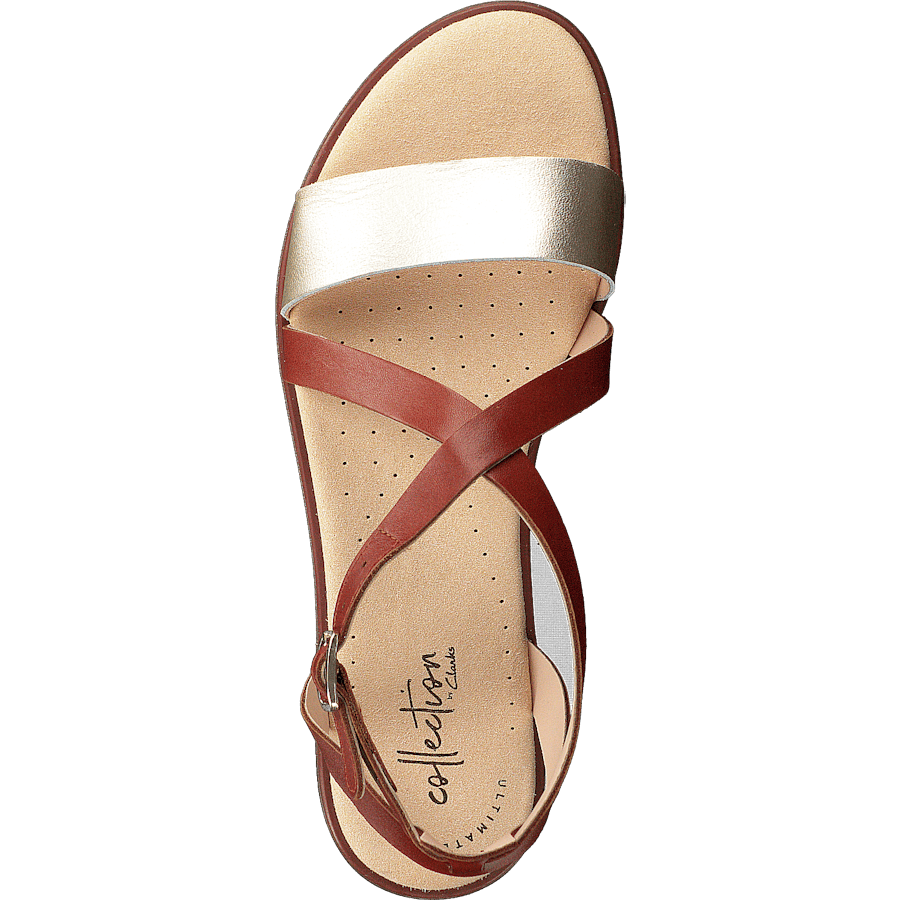 Bay Rose Rust - Bild 6