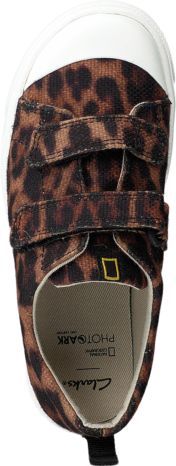 City Geo T Brown Cocmbi - Bild 6