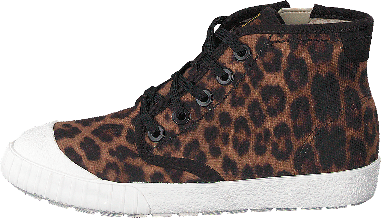 Cyrus Geo K Brown Cocmbi