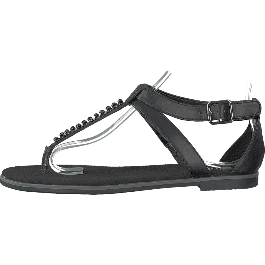 Bay Poppy Black Interest