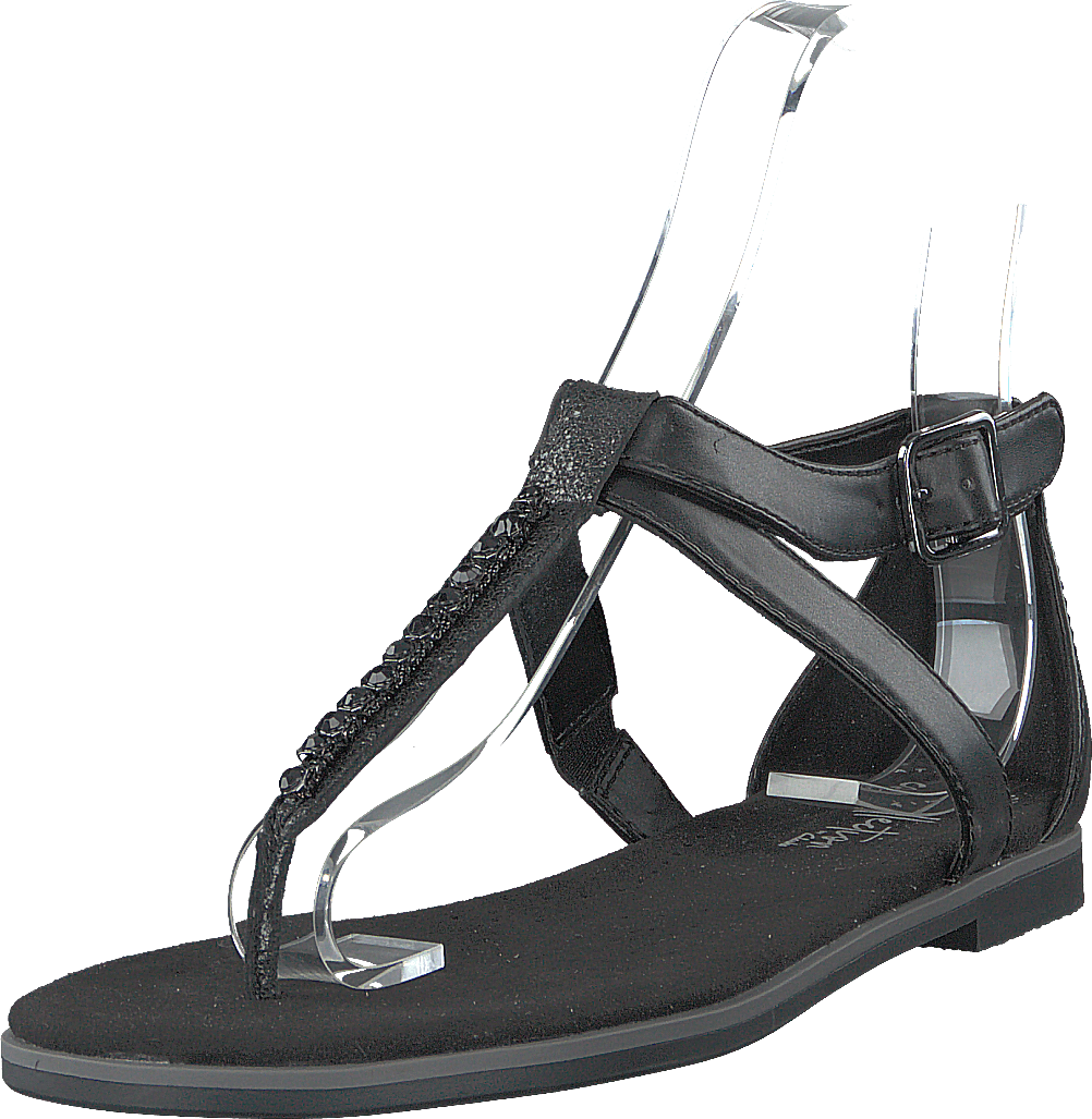 Bay Poppy Black Interest - Bild 3