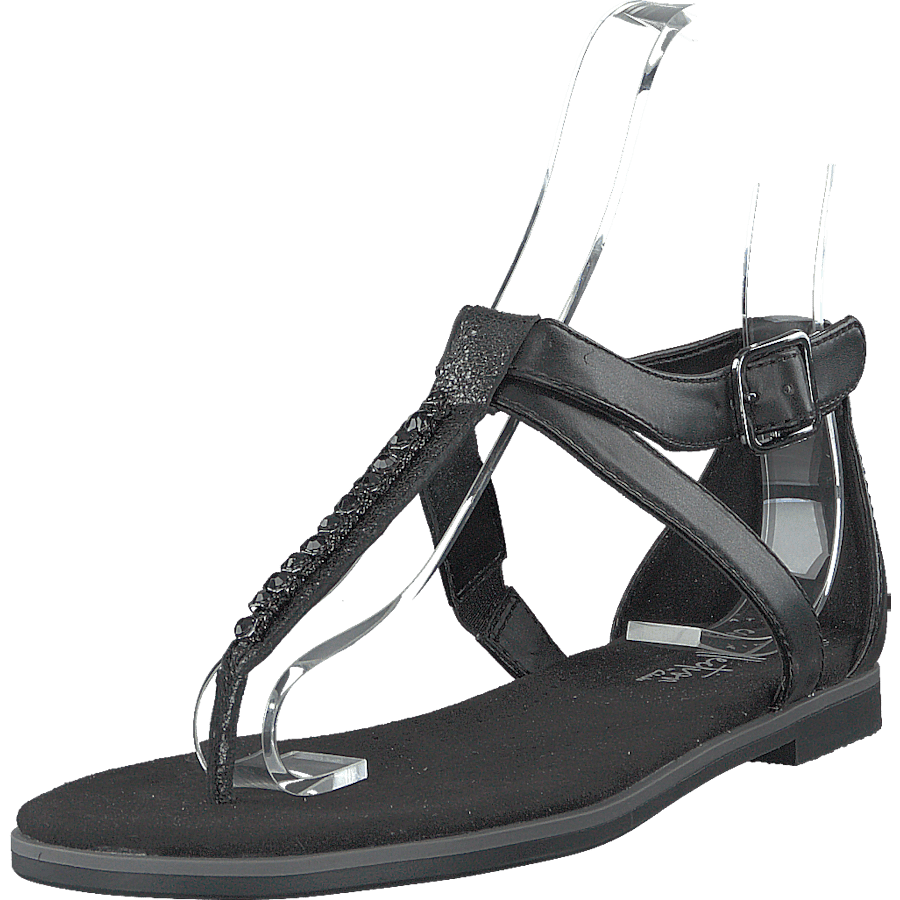 Bay Poppy Black Interest - Bild 3