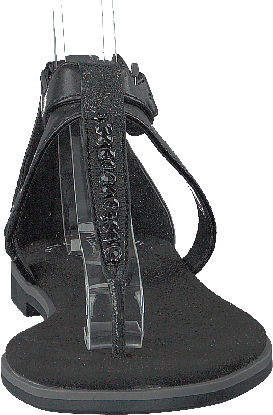 Bay Poppy Black Interest - Bild 4