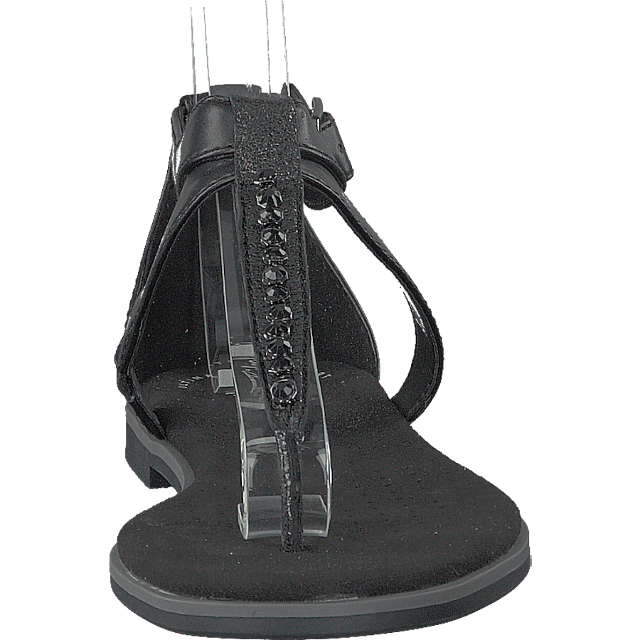 Bay Poppy Black Interest - Bild 4