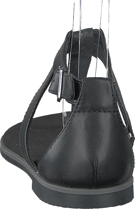 Bay Poppy Black Interest - Bild 5