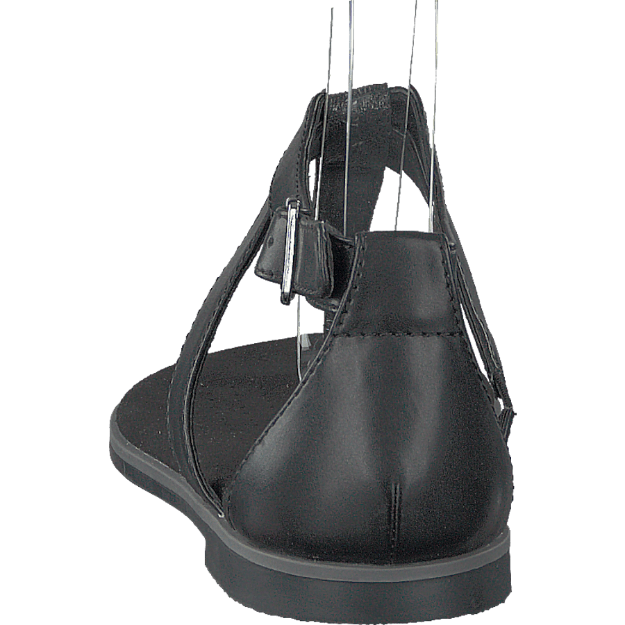 Bay Poppy Black Interest - Bild 5