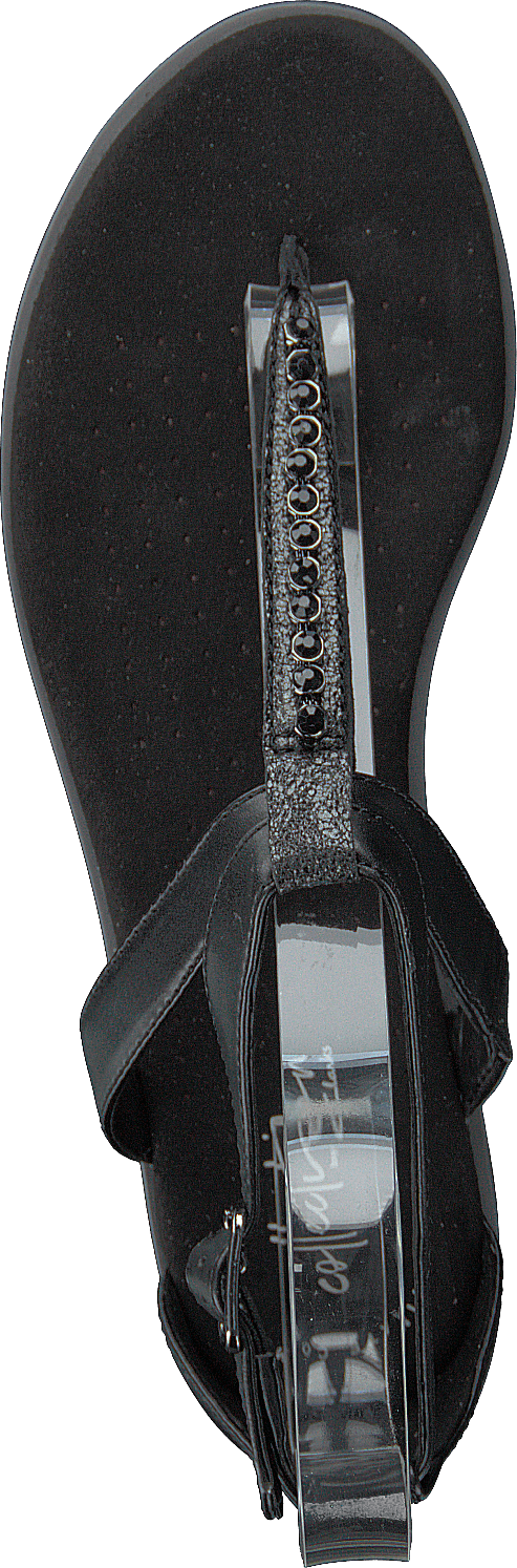 Bay Poppy Black Interest - Bild 6