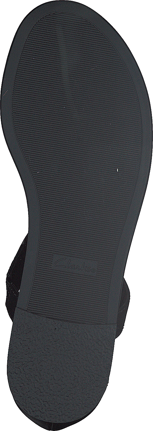 Bay Poppy Black Interest - Bild 7