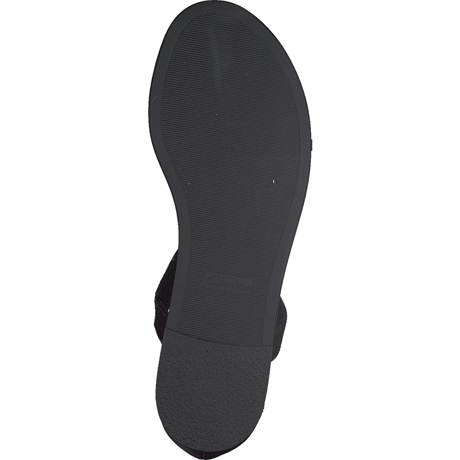 Bay Poppy Black Interest - Bild 7