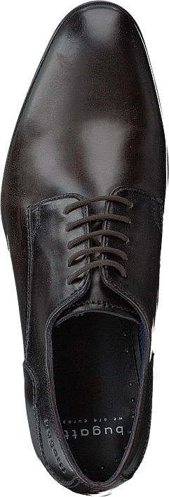 Bugatti - Zenobio Dark Brown