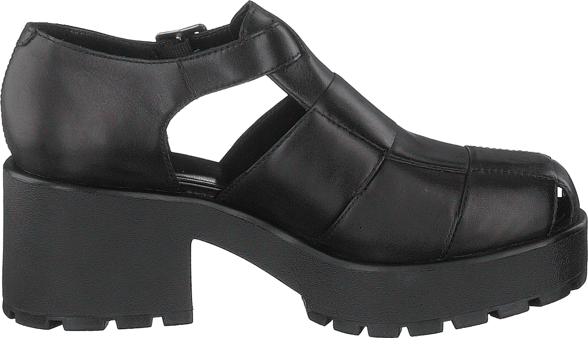 Dioon 4747-001-20 Black