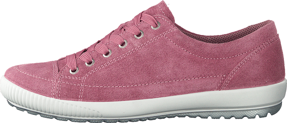 Tanaro 4.0 Wild Aster (pink)