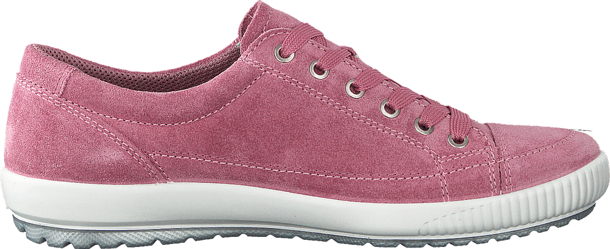 Tanaro 4.0 Wild Aster (pink)