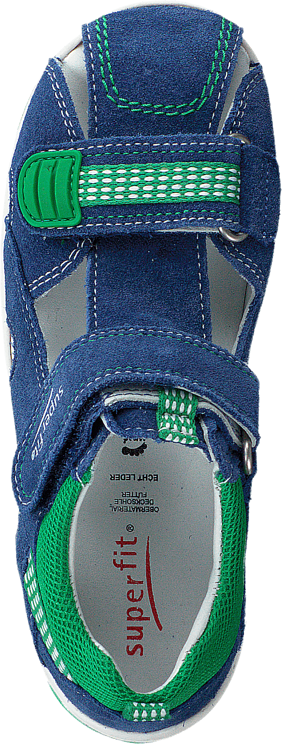 Freddy Blue/Green - Bild 6