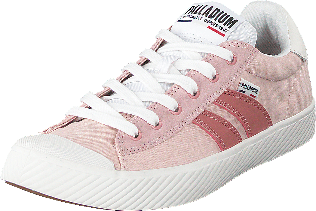 Pallaphoenix Flame Peach Whip - Bild 3